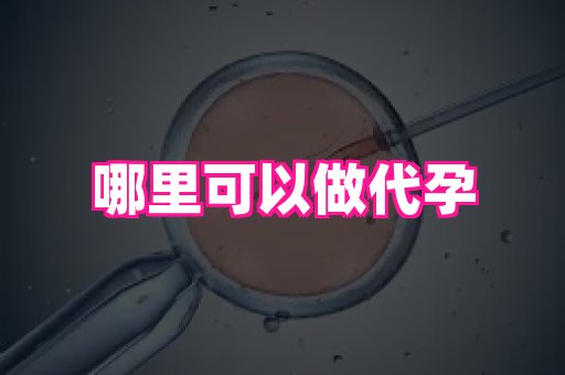 武汉助孕网站 4